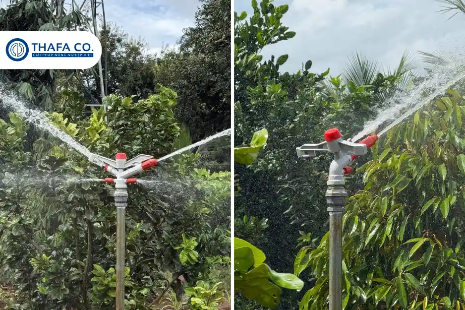 Sơ lược béc tưới Thành Phát