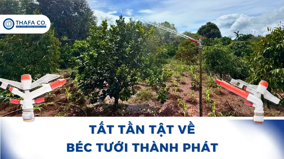 Tất Tần Tật Về Béc Tưới Thành Phát - Nông Nghiệp Thafaco 1 Tất Tần Tật Về Béc Tưới Thành Phát