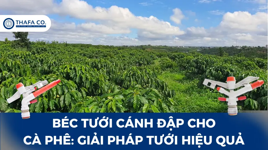 Béc Tưới Cánh Đập Cho Cà Phê: Giải Pháp Tưới Hiệu Quả 1 Béc Tưới Cây Cà Phê Cánh Đập: Giải Pháp Tưới Hiệu Quả