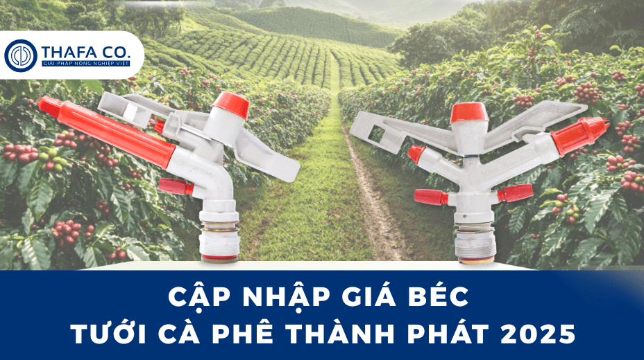 Giá Béc Tưới Cà Phê Thành Phát Bao Nhiêu? Báo Giá 2025 1 Giá Béc Tưới Cà Phê Thành Phát Bao Nhiêu?