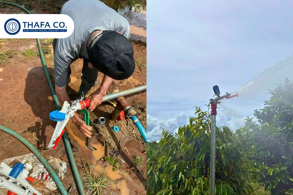 Súng béc tưới phun mưa là gì