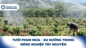 Tưới Phun Mưa - Xu Hướng Nông Nghiệp Tây Nguyên