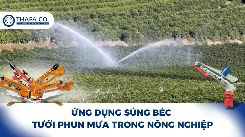 Ứng dụng súng béc tưới phun mưa trong nông nghiệp