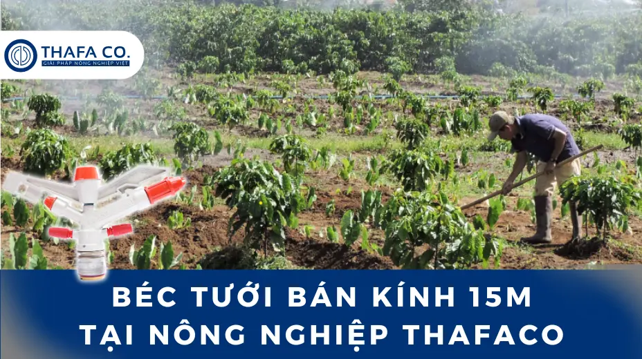 Béc tưới bán kính 15m tại Nông Nghiệp Thafaco