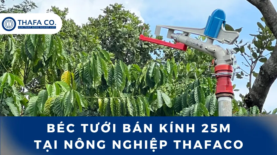 Béc tưới bán kính 25m Aquapro 30X – Ứng dụng, lựa chọn & hướng dẫn 1 Béc tưới bán kính 25 tại nông nghiệp Thafaco