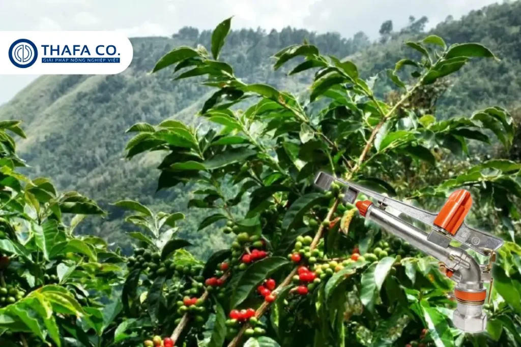 Béc Tưới Thành Phát Hay Còn Gọi Là Béc Tưới Quốc Dân 19 Béc tưới quốc dân TP 08X