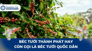 Béc Tưới Thành Phát Hay Còn Gọi Là Béc Tưới Quốc Dân