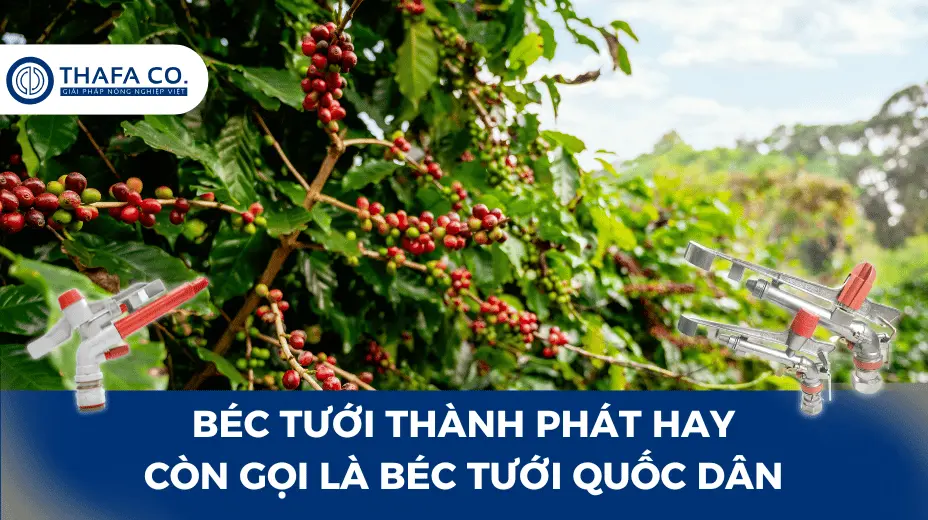 Béc Tưới Thành Phát Hay Còn Gọi Là Béc Tưới Quốc Dân 1 Béc Tưới Thành Phát Hay Còn Gọi Là Béc Tưới Quốc Dân