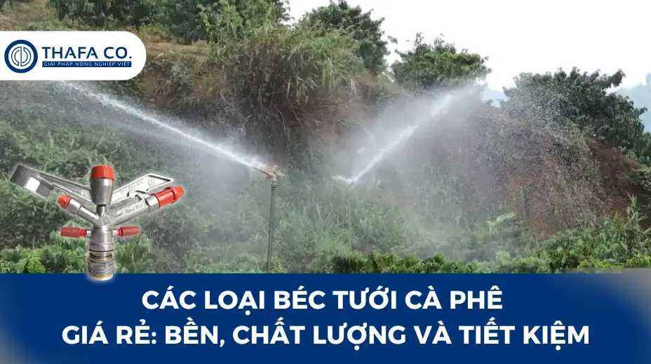 Các Loại Béc Tưới Cà Phê Giá Rẻ: Bền, Chất lượng và Tiết kiệm