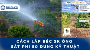 Cách lắp béc SK ống sắt phi 50