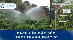 Cách lắp đặt béc tưới Thành Phát 01 Hiệu Quả