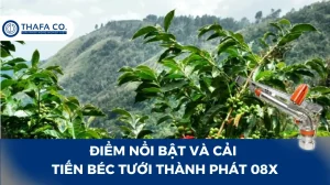 Điểm Nổi Bật Và Cải Tiến Béc Tưới Thành Phát 08X