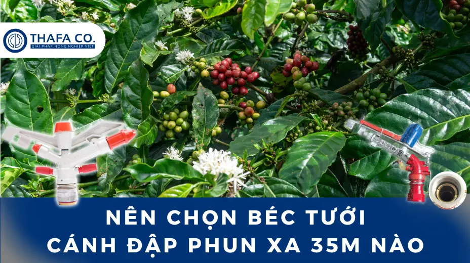 Nên chọn béc tưới cánh đập phun xa 35m nào