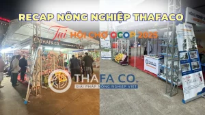 RECAP THAFACO TẠI HỘI CHỢ OCOP GIẢI PHÁP NÔNG NGHIỆP