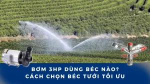 Bơm 3HP Dùng béc nào? Cách chọn béc
