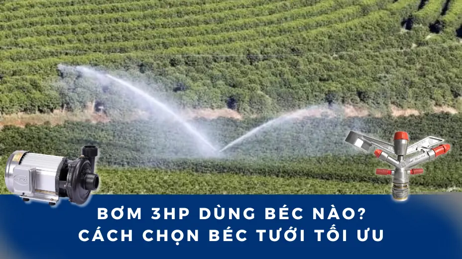 Bơm 3HP Dùng Béc Nào? Cách Chọn Béc Tưới Tối Ưu, Tiết Kiệm Nước 1 Bơm 3HP Dùng béc nào? Cách chọn béc