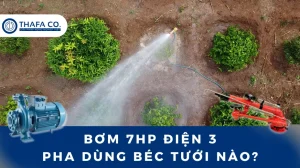 Bơm 7HP Điện 3 Pha Dùng Béc Tưới Nào